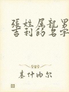 张姓属龙男孩最吉利的名字