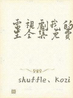 电视剧我的后半生全集免费观看封面