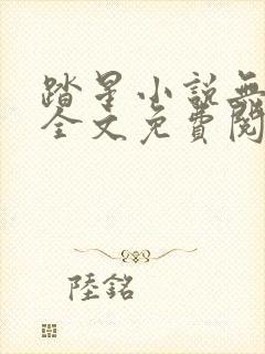 踏星小说无弹窗全文免费阅读