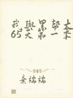 我与黑帮大佬365天第一季