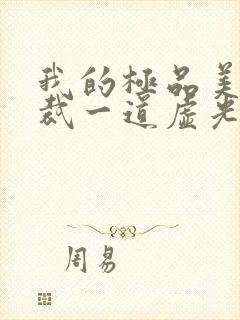 我的极品美女总裁一道虚光封面