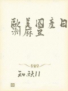 欧美国产日韩亚洲麻豆