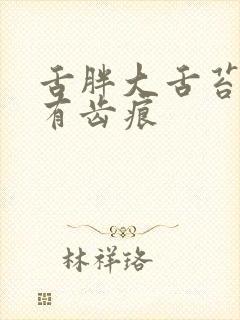 舌胖大舌苔厚黄有齿痕