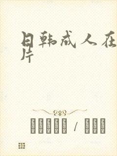 日韩成人在线毛片