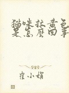 猫咪拉黄色的尿是怎么回事