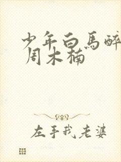 少年白马醉春风 周木楠
