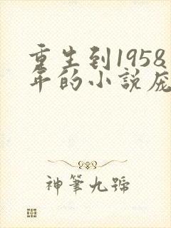 重生到1958年的小说庞北封面