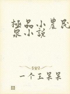 极品小农民叶庆泉小说