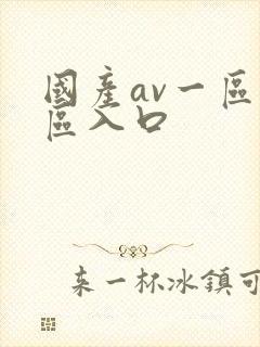 国产av一区二区入口