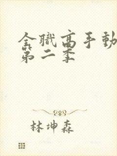 全职高手动漫版第二季