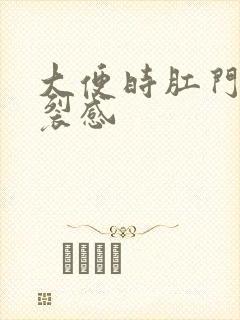 大便时肛门有撕裂感