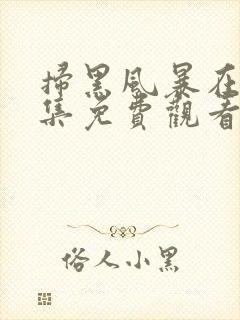 扫黑风暴在线全集免费观看完整版