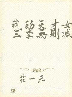 我的天才女友第三季无删减