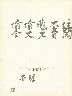 偷偷藏不住小说全文免费阅读