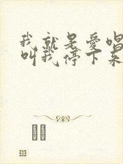 我就是爱唱歌别叫我停下来