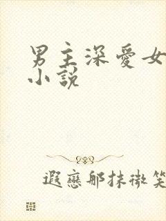 男主深爱女主的小说