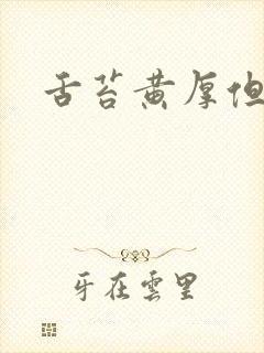 舌苔黄厚但不腻