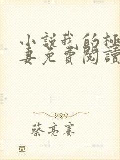 小说我的极品娇妻免费阅读全文