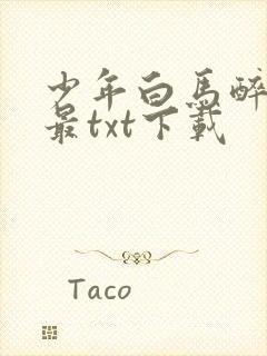 少年白马醉春风最txt下载