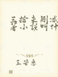 三拾未删减版原著小说叫什么