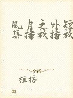 风月之外短剧全集播放播放免费最新