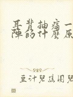 耳背抽痛一阵一阵的什么原因