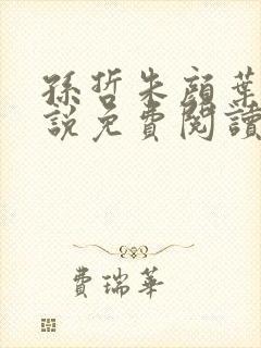 孙哲朱颜叶巧小说免费阅读笔趣阁封面