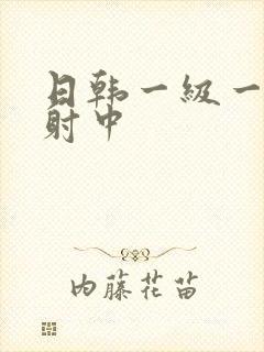 日韩一级一片内射中