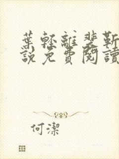 叶轻离裴靳墨小说免费阅读无弹窗