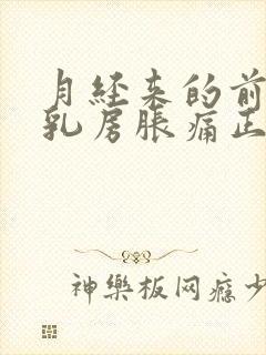 月经来的前几天乳房胀痛正常吗