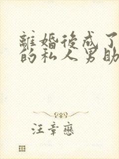 离婚后成了天后的私人男助理小说封面