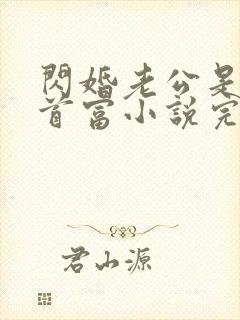 闪婚老公是千亿首富小说完整