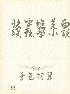 快穿绝美白莲在线教学小说笔趣阁