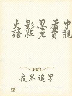 火影忍者中文国语版免费观看