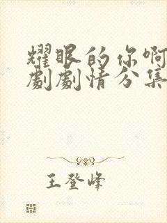 耀眼的你啊电视剧剧情分集介绍