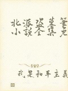 北派盗墓笔记 小说全集免费阅读