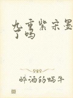 九重紫宋墨纳妾了吗