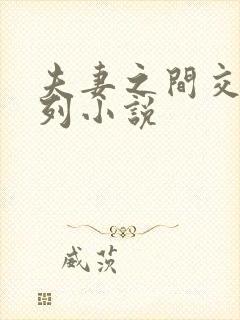 夫妻之间交换系列小说