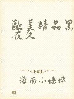 欧美精品黑人夜夜久