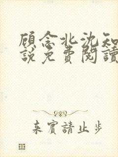 顾念北沈知宁小说免费阅读最新章节封面