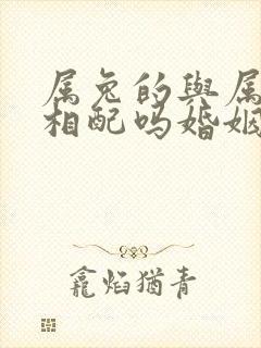 属兔的与属蛇的相配吗婚姻如何