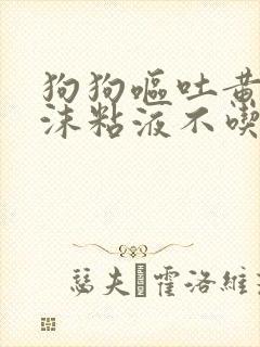 狗狗呕吐黄水泡沫粘液不吃东西