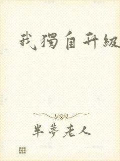 我独自升级国语