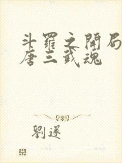 斗罗之开局揭露唐三武魂