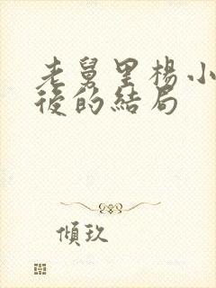 老舅里杨小姐最后的结局