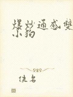 爆炒通感双胞胎小狗