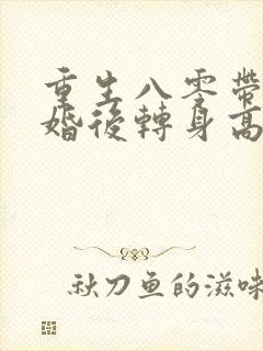 重生八零带崽离婚后转身高嫁封面
