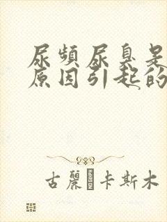 尿频尿臭是什么原因引起的