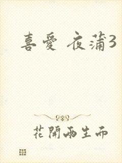 喜爱 夜蒲3