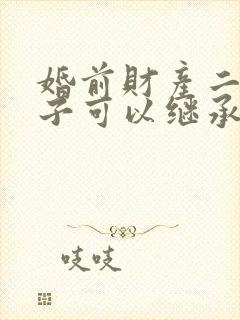 婚前财产二婚孩子可以继承吗